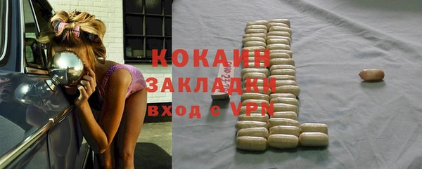 шишки Бронницы