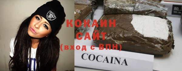 шишки Бронницы