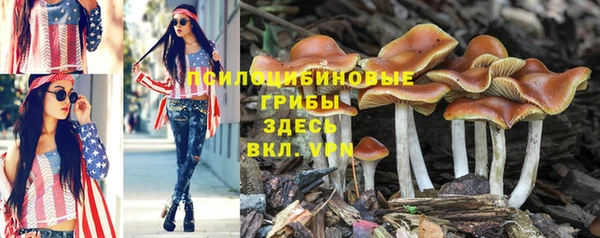 кокаин VHQ Бородино