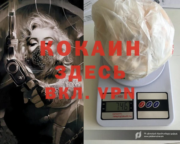 шишки Бронницы