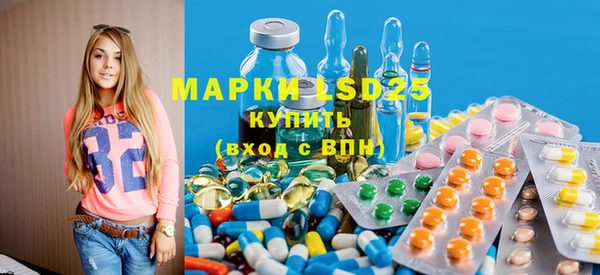 шишки Бронницы