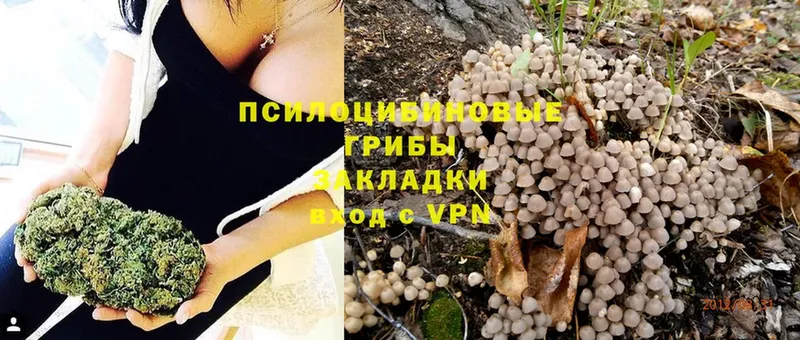 Галлюциногенные грибы MAGIC MUSHROOMS Гремячинск